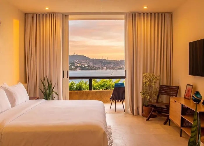 Armadillo Complex Listings Aparthotel Zihuatanejo